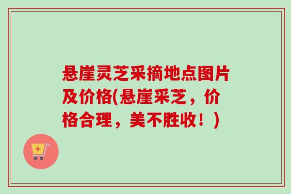 悬崖灵芝采摘地点图片及价格(悬崖采芝，价格合理，美不胜收！)-第1张图片-卓越灵芝孢子粉