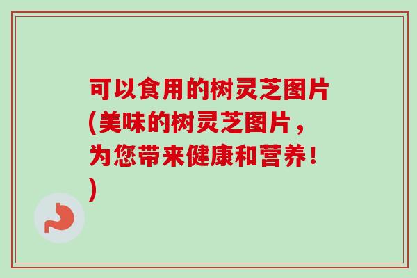可以食用的树灵芝图片(美味的树灵芝图片，为您带来健康和营养！)-第1张图片-卓越灵芝孢子粉