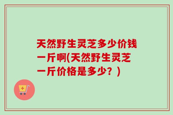 天然野生灵芝多少价钱一斤啊(天然野生灵芝一斤价格是多少?)-第1张图片-卓越灵芝孢子粉 天然野生灵芝多少价钱一斤啊(天然野生灵芝一斤价格是多少?)-第1张图片-卓越灵芝孢子粉