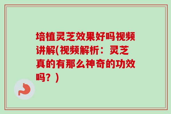 培植灵芝效果好吗视频讲解(视频解析:灵芝真的有那么神奇的功效吗?)-第1张图片-卓越灵芝孢子粉 培植灵芝效果好吗视频讲解(视频解析:灵芝真的有那么神奇的功效吗?)-第1张图片-卓越灵芝孢子粉