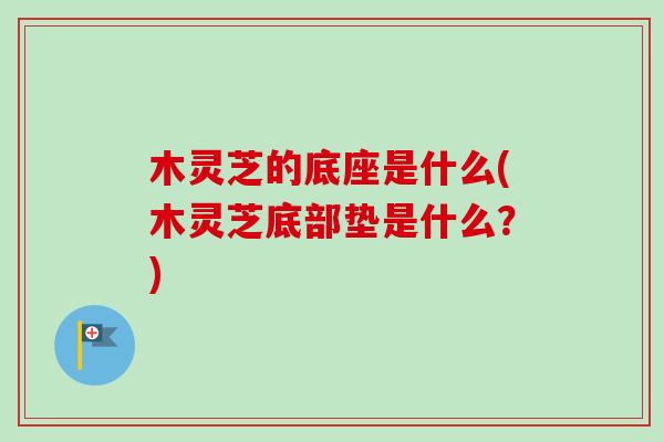 木灵芝的底座是什么(木灵芝底部垫是什么?)-第1张图片-卓越灵芝孢子粉 木灵芝的底座是什么(木灵芝底部垫是什么?)-第1张图片-卓越灵芝孢子粉