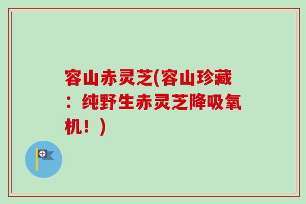 容山赤灵芝(容山珍藏:纯野生赤灵芝降吸氧机!)-第1张图片-卓越灵芝孢子粉 容山赤灵芝(容山珍藏:纯野生赤灵芝降吸氧机!)-第1张图片-卓越灵芝孢子粉