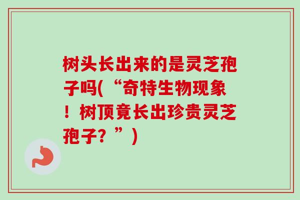 树头长出来的是灵芝孢子吗(“奇特生物现象!树顶竟长出珍贵灵芝孢子?”)-第1张图片-卓越灵芝孢子粉 树头长出来的是灵芝孢子吗(“奇特生物现象!树顶竟长出珍贵灵芝孢子?”)-第1张图片-卓越灵芝孢子粉