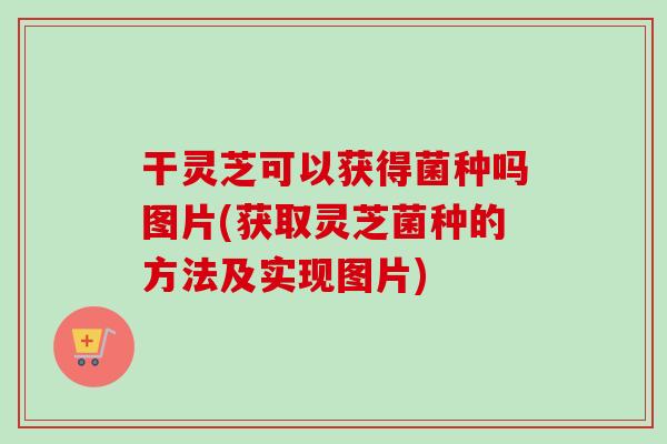 干灵芝可以获得菌种吗图片(获取灵芝菌种的方法及实现图片)-第1张图片-卓越灵芝孢子粉 干灵芝可以获得菌种吗图片(获取灵芝菌种的方法及实现图片)-第1张图片-卓越灵芝孢子粉