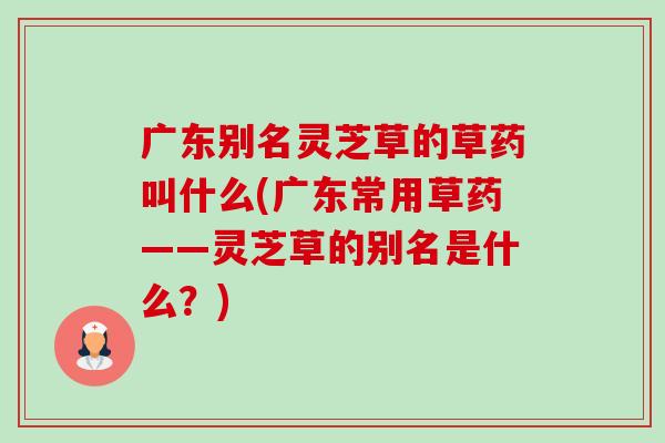 广东别名灵芝草的草药叫什么(广东常用草药——灵芝草的别名是什么?)-第1张图片-卓越灵芝孢子粉 广东别名灵芝草的草药叫什么(广东常用草药——灵芝草的别名是什么?)-第1张图片-卓越灵芝孢子粉