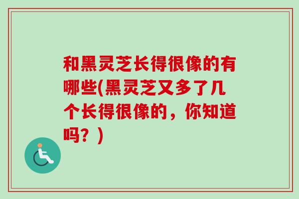 和黑灵芝长得很像的有哪些(黑灵芝又多了几个长得很像的,你知道吗?)-第1张图片-卓越灵芝孢子粉 和黑灵芝长得很像的有哪些(黑灵芝又多了几个长得很像的,你知道吗?)-第1张图片-卓越灵芝孢子粉