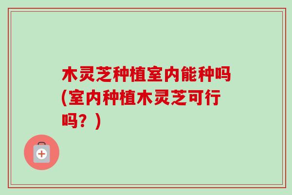 木灵芝种植室内能种吗(室内种植木灵芝可行吗?)-第1张图片-卓越灵芝孢子粉 木灵芝种植室内能种吗(室内种植木灵芝可行吗?)-第1张图片-卓越灵芝孢子粉