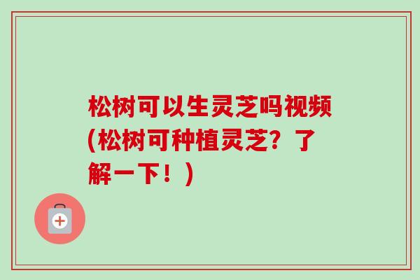 松树可以生灵芝吗视频(松树可种植灵芝？了解一下！)-第1张图片-卓越灵芝孢子粉