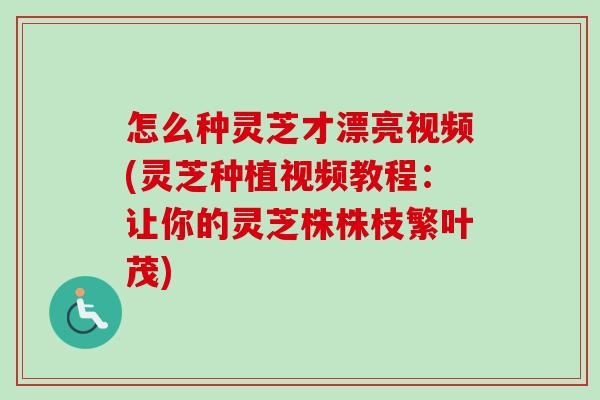 怎么种灵芝才漂亮视频(灵芝种植视频教程:让你的灵芝株株枝繁叶茂)-第1张图片-卓越灵芝孢子粉 怎么种灵芝才漂亮视频(灵芝种植视频教程:让你的灵芝株株枝繁叶茂)-第1张图片-卓越灵芝孢子粉