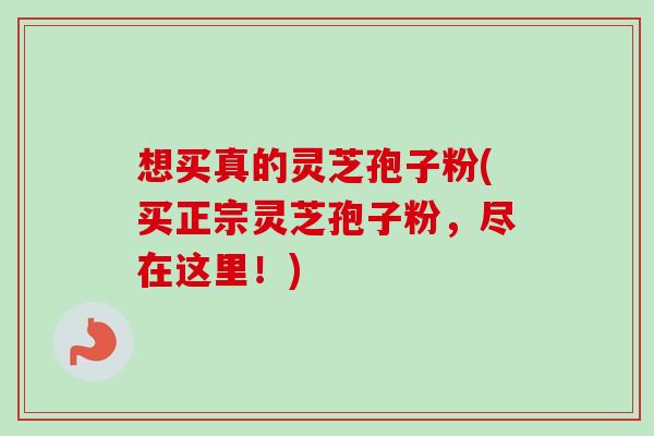 想买真的灵芝孢子粉(买正宗灵芝孢子粉,尽在这里!)-第1张图片-卓越灵芝孢子粉 想买真的灵芝孢子粉(买正宗灵芝孢子粉,尽在这里!)-第1张图片-卓越灵芝孢子粉