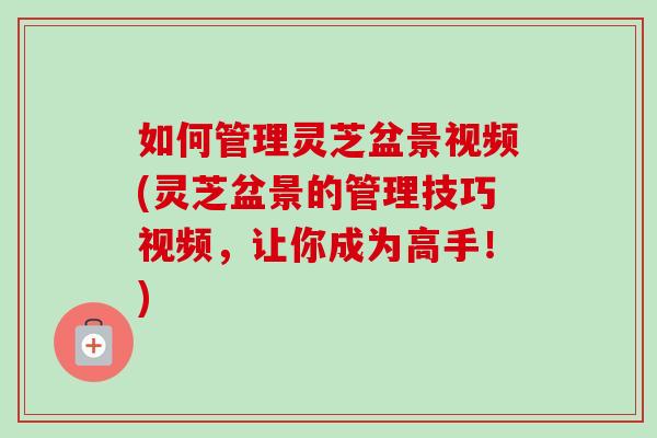 如何管理灵芝盆景视频(灵芝盆景的管理技巧视频,让你成为高手!)-第1张图片-卓越灵芝孢子粉 如何管理灵芝盆景视频(灵芝盆景的管理技巧视频,让你成为高手!)-第1张图片-卓越灵芝孢子粉