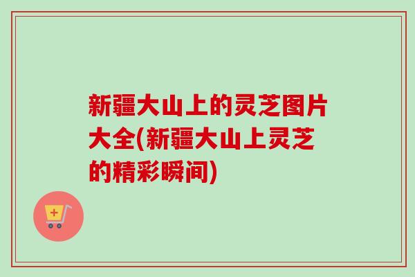 新疆大山上的灵芝图片大全(新疆大山上灵芝的精彩瞬间)-第1张图片-卓越灵芝孢子粉