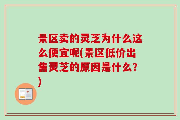 景区卖的灵芝为什么这么便宜呢(景区低价出售灵芝的原因是什么?)-第1张图片-卓越灵芝孢子粉 景区卖的灵芝为什么这么便宜呢(景区低价出售灵芝的原因是什么?)-第1张图片-卓越灵芝孢子粉
