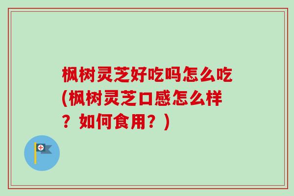 枫树灵芝好吃吗怎么吃(枫树灵芝口感怎么样？如何食用？)-第1张图片-卓越灵芝孢子粉