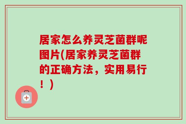 居家怎么养灵芝菌群呢图片(居家养灵芝菌群的正确方法,实用易行!)-第1张图片-卓越灵芝孢子粉 居家怎么养灵芝菌群呢图片(居家养灵芝菌群的正确方法,实用易行!)-第1张图片-卓越灵芝孢子粉