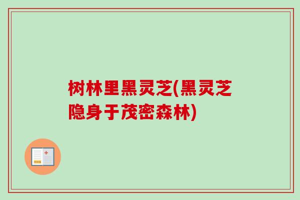 树林里黑灵芝(黑灵芝隐身于茂密森林)-第1张图片-卓越灵芝孢子粉 树林里黑灵芝(黑灵芝隐身于茂密森林)-第1张图片-卓越灵芝孢子粉