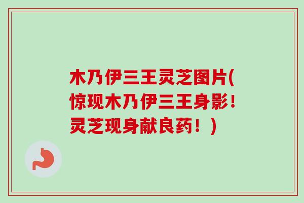 木乃伊三王灵芝图片(惊现木乃伊三王身影!灵芝现身献良药!)-第1张图片-卓越灵芝孢子粉 木乃伊三王灵芝图片(惊现木乃伊三王身影!灵芝现身献良药!)-第1张图片-卓越灵芝孢子粉
