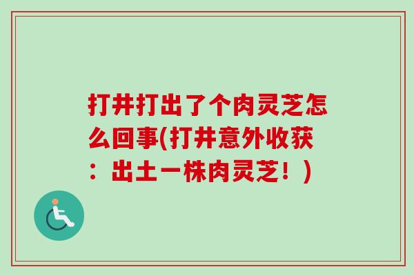 打井打出了个肉灵芝怎么回事(打井意外收获:出土一株肉灵芝!)-第1张图片-卓越灵芝孢子粉 打井打出了个肉灵芝怎么回事(打井意外收获:出土一株肉灵芝!)-第1张图片-卓越灵芝孢子粉