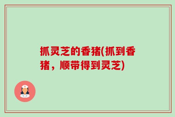 抓灵芝的香猪(抓到香猪,顺带得到灵芝)-第1张图片-卓越灵芝孢子粉 抓灵芝的香猪(抓到香猪,顺带得到灵芝)-第1张图片-卓越灵芝孢子粉