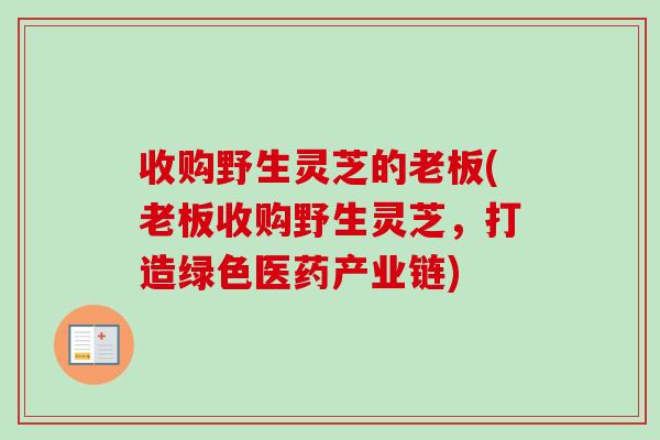 收购野生灵芝的老板(老板收购野生灵芝，打造绿色医药产业链)-第1张图片-卓越灵芝孢子粉