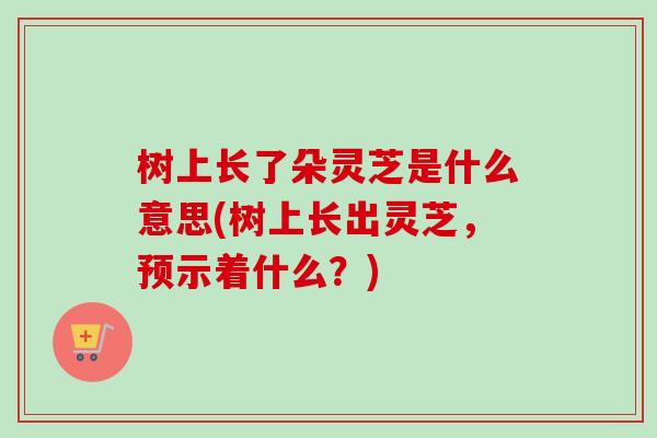 树上长了朵灵芝是什么意思(树上长出灵芝,预示着什么?)-第1张图片-卓越灵芝孢子粉 树上长了朵灵芝是什么意思(树上长出灵芝,预示着什么?)-第1张图片-卓越灵芝孢子粉