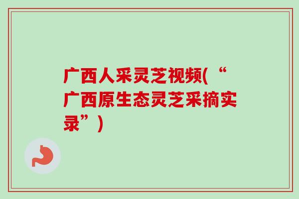 广西人采灵芝视频(“广西原生态灵芝采摘实录”)-第1张图片-卓越灵芝孢子粉