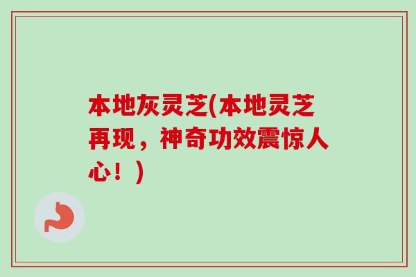本地灰灵芝(本地灵芝再现,神奇功效震惊人心!)-第1张图片-卓越灵芝孢子粉 本地灰灵芝(本地灵芝再现,神奇功效震惊人心!)-第1张图片-卓越灵芝孢子粉