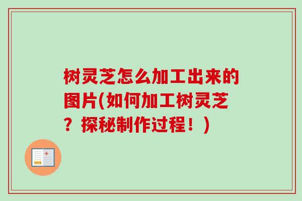 树灵芝怎么加工出来的图片(如何加工树灵芝?探秘制作过程!)-第1张图片-卓越灵芝孢子粉 树灵芝怎么加工出来的图片(如何加工树灵芝?探秘制作过程!)-第1张图片-卓越灵芝孢子粉