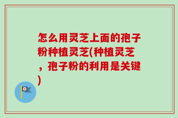 怎么用灵芝上面的孢子粉种植灵芝(种植灵芝,孢子粉的利用是关键)-第1张图片-卓越灵芝孢子粉 怎么用灵芝上面的孢子粉种植灵芝(种植灵芝,孢子粉的利用是关键)-第1张图片-卓越灵芝孢子粉