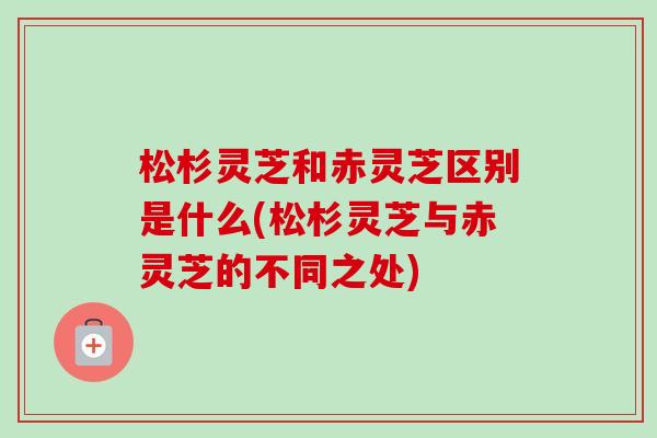 松杉灵芝和赤灵芝区别是什么(松杉灵芝与赤灵芝的不同之处)-第1张图片-卓越灵芝孢子粉