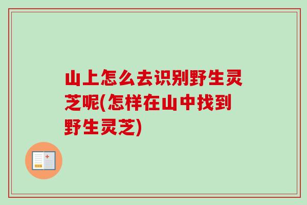 山上怎么去识别野生灵芝呢(怎样在山中找到野生灵芝)-第1张图片-卓越灵芝孢子粉 山上怎么去识别野生灵芝呢(怎样在山中找到野生灵芝)-第1张图片-卓越灵芝孢子粉