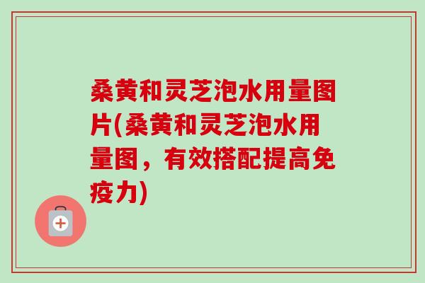 桑黄和灵芝泡水用量图片(桑黄和灵芝泡水用量图,有效搭配提高免疫力)-第1张图片-卓越灵芝孢子粉 桑黄和灵芝泡水用量图片(桑黄和灵芝泡水用量图,有效搭配提高免疫力)-第1张图片-卓越灵芝孢子粉