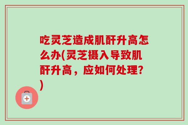 吃灵芝造成肌酐升高怎么办(灵芝摄入导致肌酐升高，应如何处理？)-第1张图片-卓越灵芝孢子粉