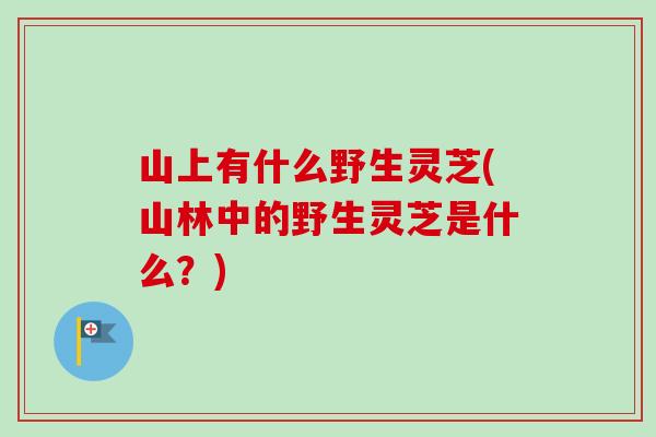 山上有什么野生灵芝(山林中的野生灵芝是什么?)-第1张图片-卓越灵芝孢子粉 山上有什么野生灵芝(山林中的野生灵芝是什么?)-第1张图片-卓越灵芝孢子粉