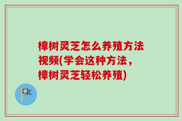 樟树灵芝怎么养殖方法视频(学会这种方法，樟树灵芝轻松养殖)-第1张图片-卓越灵芝孢子粉