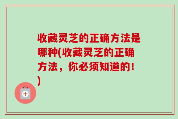 收藏灵芝的正确方法是哪种(收藏灵芝的正确方法，你必须知道的！)-第1张图片-卓越灵芝孢子粉