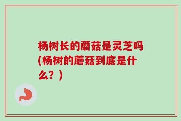 杨树长的蘑菇是灵芝吗(杨树的蘑菇到底是什么？)-第1张图片-卓越灵芝孢子粉