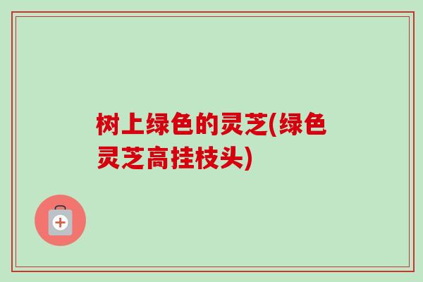 树上绿色的灵芝(绿色灵芝高挂枝头)-第1张图片-卓越灵芝孢子粉 树上绿色的灵芝(绿色灵芝高挂枝头)-第1张图片-卓越灵芝孢子粉