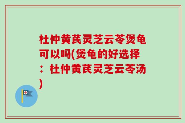 杜仲黄芪灵芝云苓煲龟可以吗(煲龟的好选择:杜仲黄芪灵芝云苓汤)-第1张图片-卓越灵芝孢子粉 杜仲黄芪灵芝云苓煲龟可以吗(煲龟的好选择:杜仲黄芪灵芝云苓汤)-第1张图片-卓越灵芝孢子粉