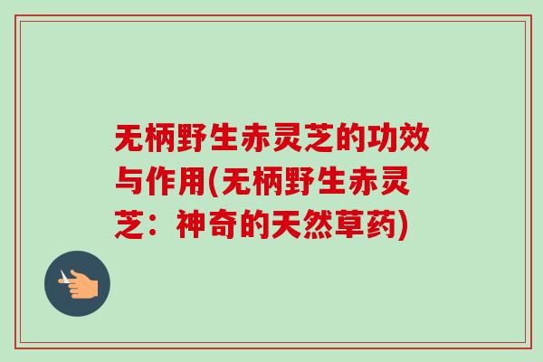 无柄野生赤灵芝的功效与作用(无柄野生赤灵芝:神奇的天然草药)-第1张图片-卓越灵芝孢子粉 无柄野生赤灵芝的功效与作用(无柄野生赤灵芝:神奇的天然草药)-第1张图片-卓越灵芝孢子粉