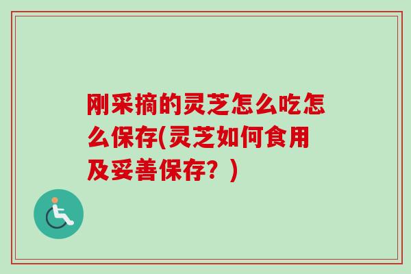 刚采摘的灵芝怎么吃怎么保存(灵芝如何食用及妥善保存?)-第1张图片-卓越灵芝孢子粉 刚采摘的灵芝怎么吃怎么保存(灵芝如何食用及妥善保存?)-第1张图片-卓越灵芝孢子粉