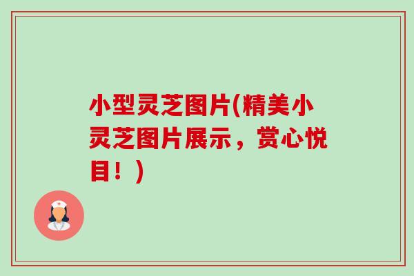小型灵芝图片(精美小灵芝图片展示,赏心悦目!)-第1张图片-卓越灵芝孢子粉 小型灵芝图片(精美小灵芝图片展示,赏心悦目!)-第1张图片-卓越灵芝孢子粉