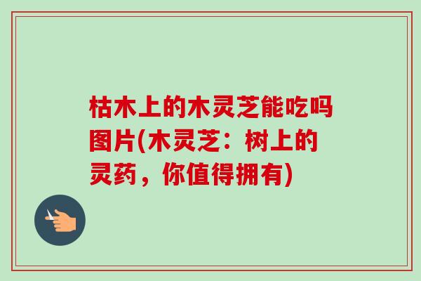 枯木上的木灵芝能吃吗图片(木灵芝:树上的灵药,你值得拥有)-第1张图片-卓越灵芝孢子粉 枯木上的木灵芝能吃吗图片(木灵芝:树上的灵药,你值得拥有)-第1张图片-卓越灵芝孢子粉