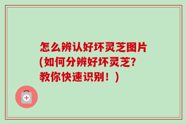 怎么辨认好坏灵芝图片(如何分辨好坏灵芝?教你快速识别!)-第1张图片-卓越灵芝孢子粉 怎么辨认好坏灵芝图片(如何分辨好坏灵芝?教你快速识别!)-第1张图片-卓越灵芝孢子粉