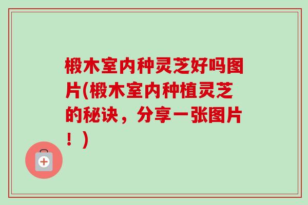 椴木室内种灵芝好吗图片(椴木室内种植灵芝的秘诀,分享一张图片!)-第1张图片-卓越灵芝孢子粉 椴木室内种灵芝好吗图片(椴木室内种植灵芝的秘诀,分享一张图片!)-第1张图片-卓越灵芝孢子粉