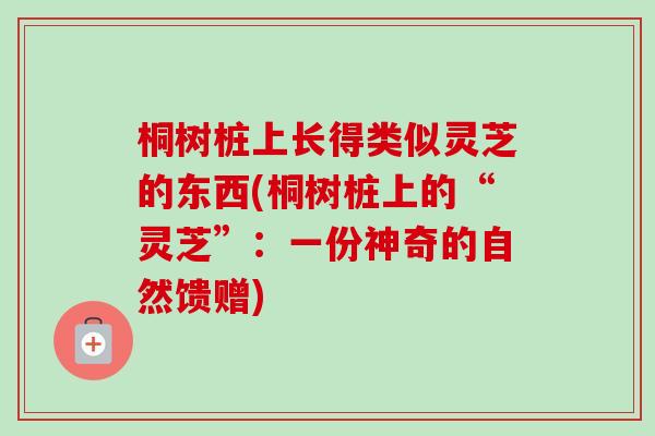 桐树桩上长得类似灵芝的东西(桐树桩上的“灵芝”:一份神奇的自然馈赠)-第1张图片-卓越灵芝孢子粉 桐树桩上长得类似灵芝的东西(桐树桩上的“灵芝”:一份神奇的自然馈赠)-第1张图片-卓越灵芝孢子粉