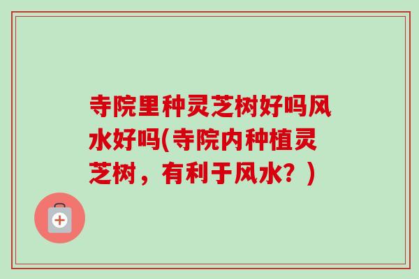 寺院里种灵芝树好吗风水好吗(寺院内种植灵芝树,有利于风水?)-第1张图片-卓越灵芝孢子粉 寺院里种灵芝树好吗风水好吗(寺院内种植灵芝树,有利于风水?)-第1张图片-卓越灵芝孢子粉