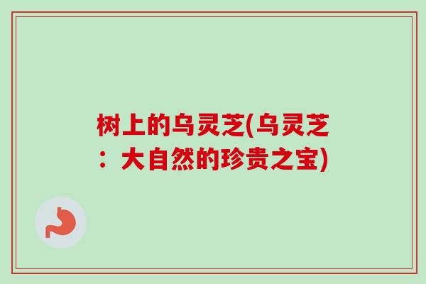 树上的乌灵芝(乌灵芝:大自然的珍贵之宝)-第1张图片-卓越灵芝孢子粉 树上的乌灵芝(乌灵芝:大自然的珍贵之宝)-第1张图片-卓越灵芝孢子粉