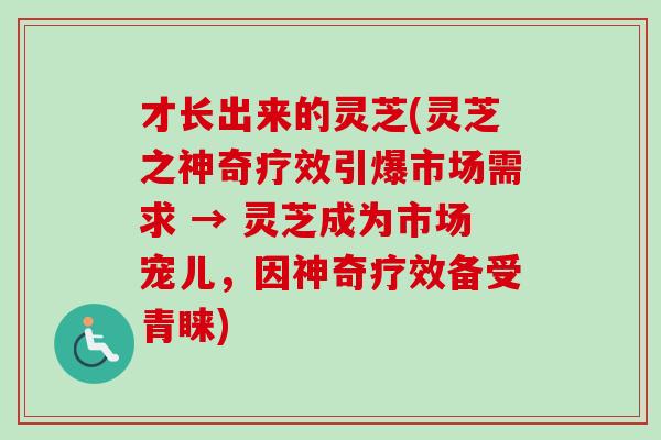 才长出来的灵芝(灵芝之神奇疗效引爆市场需求 → 灵芝成为市场宠儿，因神奇疗效备受青睐)-第1张图片-卓越灵芝孢子粉