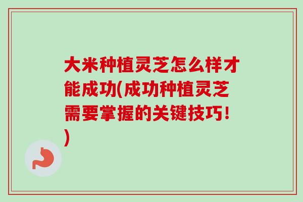 大米种植灵芝怎么样才能成功(成功种植灵芝需要掌握的关键技巧！)-第1张图片-卓越灵芝孢子粉